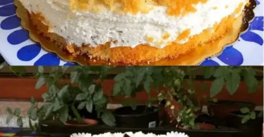 Käse-Sahne-Torte mit frischer Sahne und Käse, schnell und einfach zubereitet.