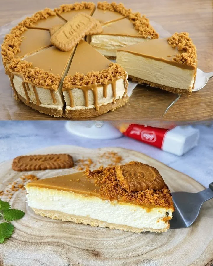Leckerer No-Bake Cheesecake mit frischen Früchten und Sahne