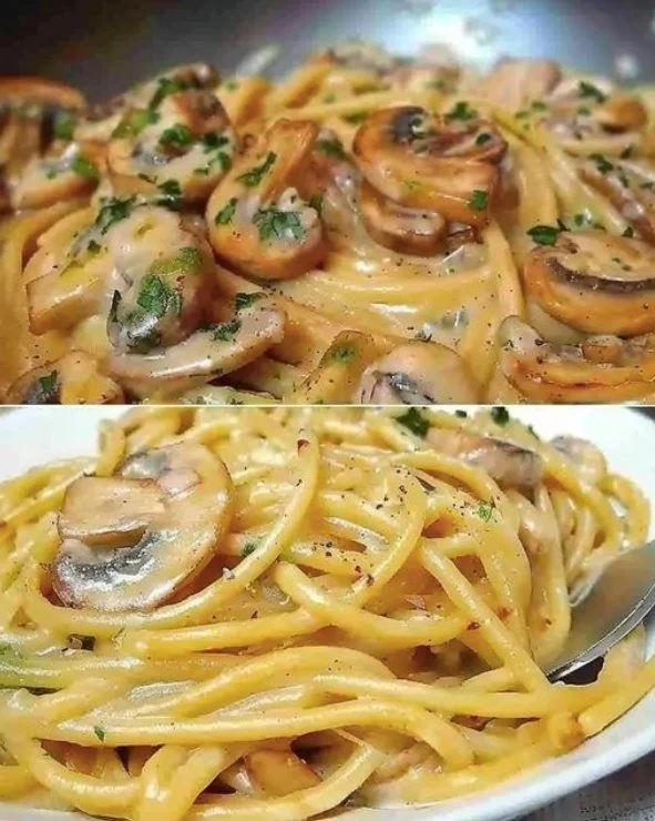 Pasta mit einer cremigen Pilzsauce auf einem Teller serviert