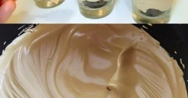 Schnelles Cappuccino-Creme-Tiramisu mit Schichten aus Kaffee, Creme und Kakao.