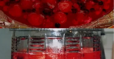 Alkoholfreier Beeren-Punsch in einer dekorativen Glaskaraffe.