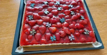 Erdbeerkuchen mit Quark und Pudding auf einem schönen Teller