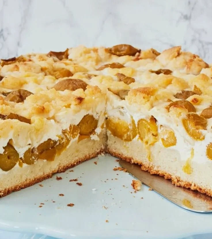 Leckerer Mirabellenkuchen mit Quark und Streuseln auf Teller serviert